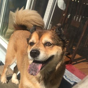 Meet your Posher, Caityn